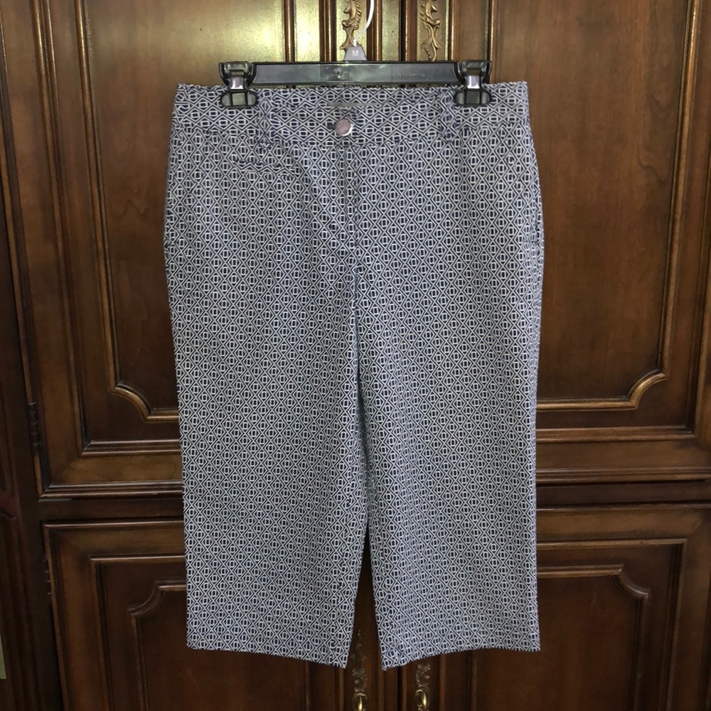 Ann Taylor Capri Pants